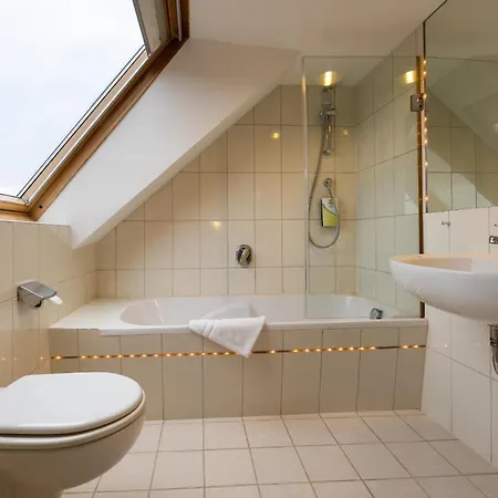 Aaaa ホテルヴェルト キューブラー 3* カールスルーエ