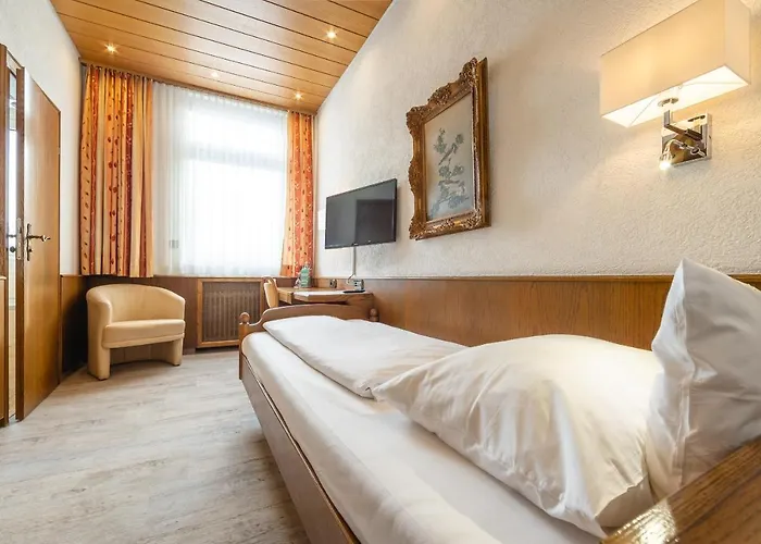 Aaaa ホテルヴェルト キューブラー カールスルーエ